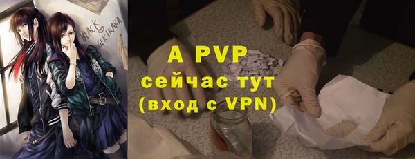 стаф Липки