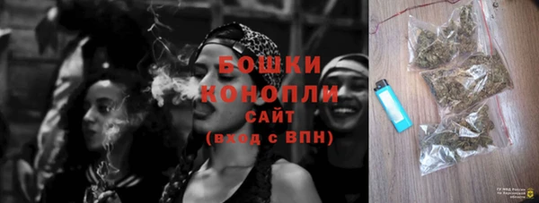 стаф Липки