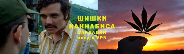 стаф Липки