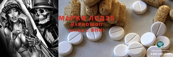 стаф Липки