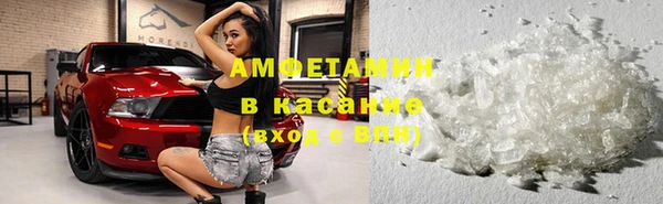 стаф Липки