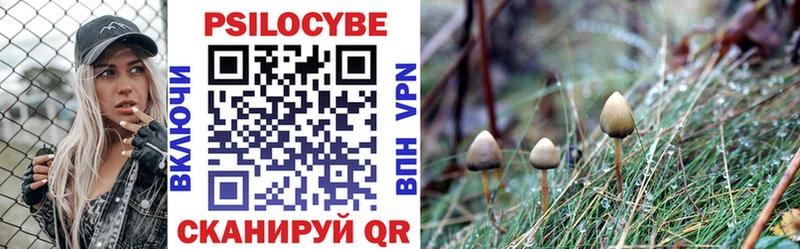 mega вход  Мураши  Псилоцибиновые грибы ЛСД 