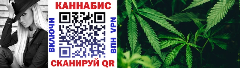 Каннабис планчик Мураши